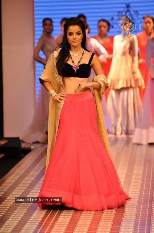 Celebs Walks the Ramp at IIJW 2012 - 167 / 297 photos
