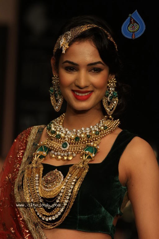 Celebs Walks the Ramp at IIJW 2012 - 168 / 297 photos
