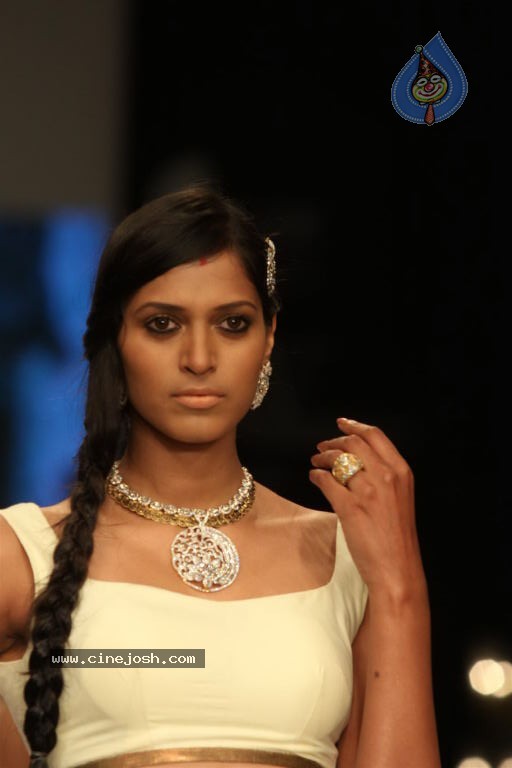 Celebs Walks the Ramp at IIJW 2012 - 171 / 297 photos