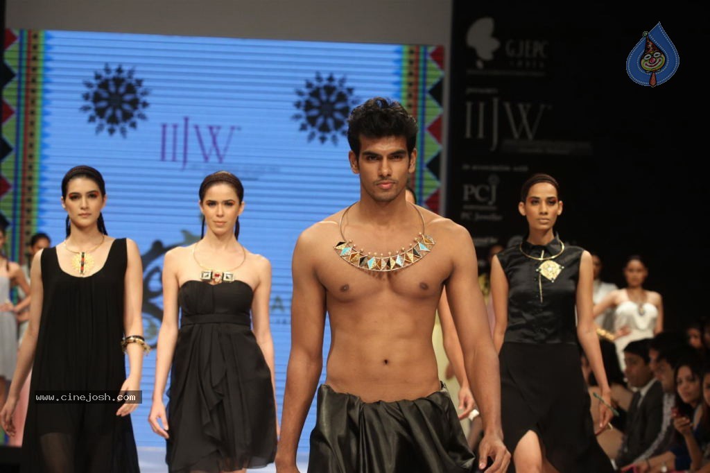 Celebs Walks the Ramp at IIJW 2012 - 220 / 297 photos