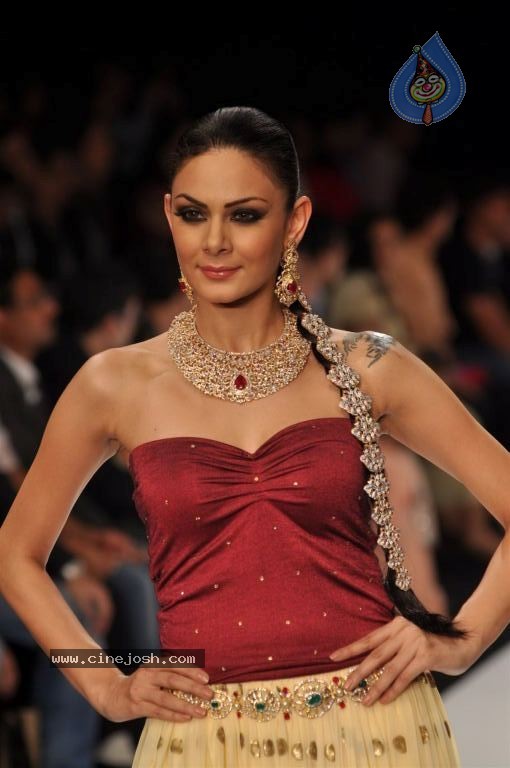Celebs Walks the Ramp at IIJW 2012 - 230 / 297 photos