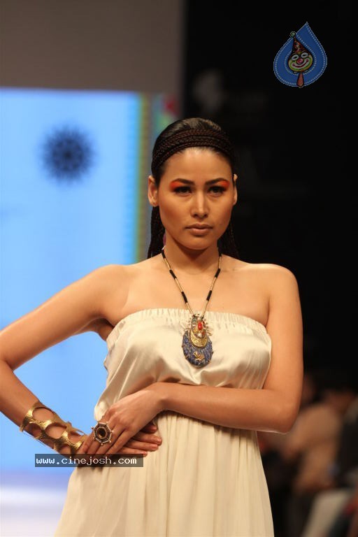 Celebs Walks the Ramp at IIJW 2012 - 249 / 297 photos