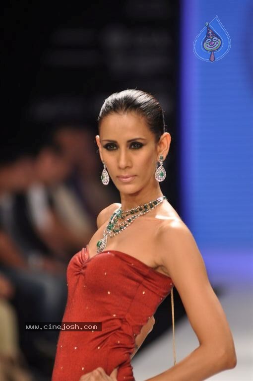 Celebs Walks the Ramp at IIJW 2012 - 257 / 297 photos