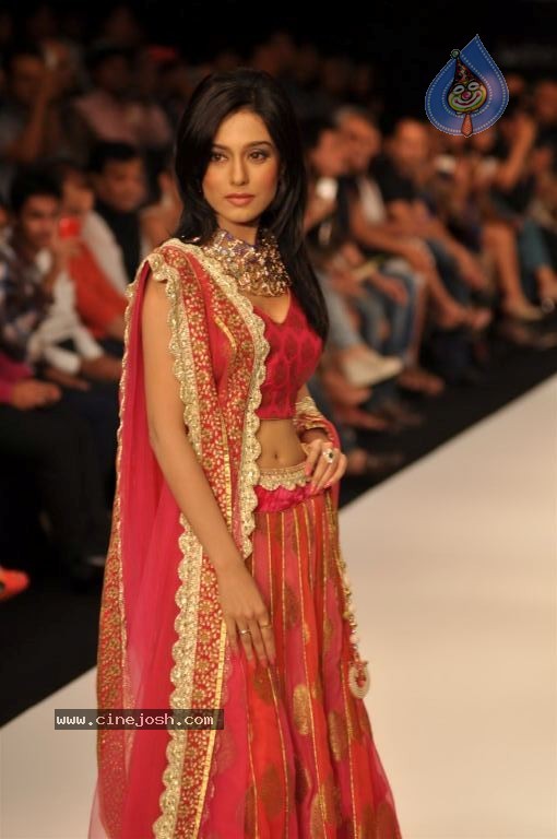 Celebs Walks the Ramp at IIJW 2012 - 263 / 297 photos