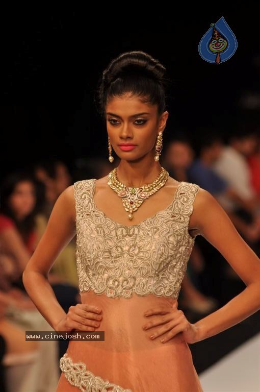 Celebs Walks the Ramp at IIJW 2012 - 271 / 297 photos