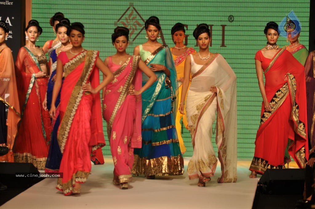 Celebs Walks the Ramp at IIJW 2012 - 279 / 297 photos