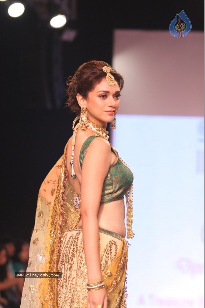 Celebs Walks the Ramp at IIJW 2013 Day 3 - 2 / 132 photos