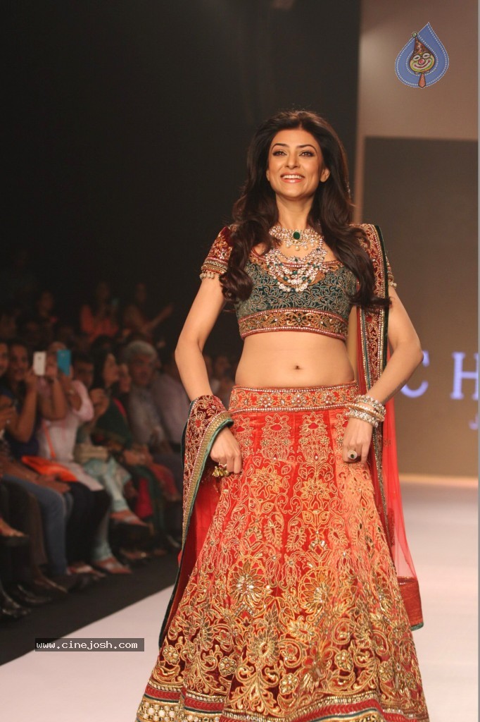 Celebs Walks the Ramp at IIJW 2013 Day 3 - 4 / 132 photos