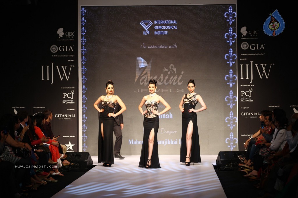 Celebs Walks the Ramp at IIJW 2013 Day 3 - 5 / 132 photos