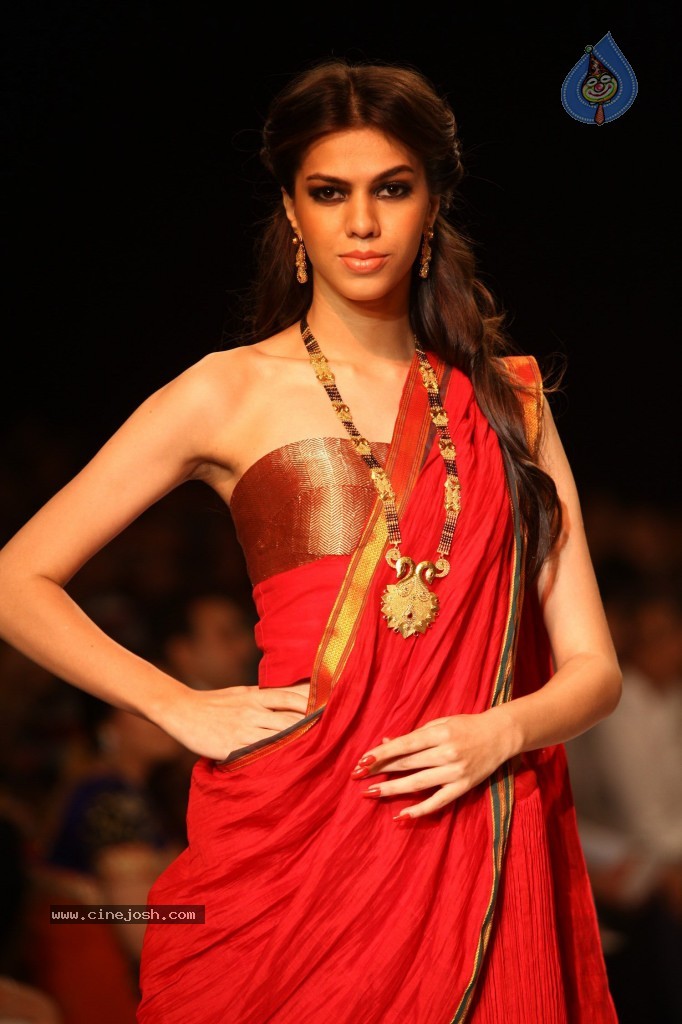 Celebs Walks the Ramp at IIJW 2013 Day 3 - 13 / 132 photos