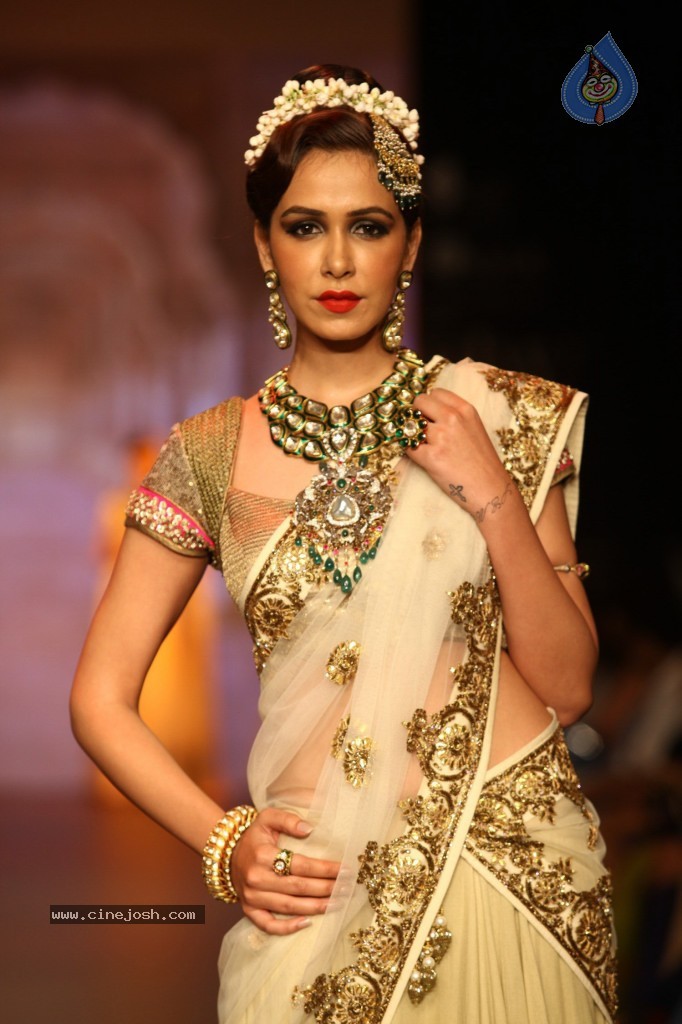 Celebs Walks the Ramp at IIJW 2013 Day 3 - 18 / 132 photos