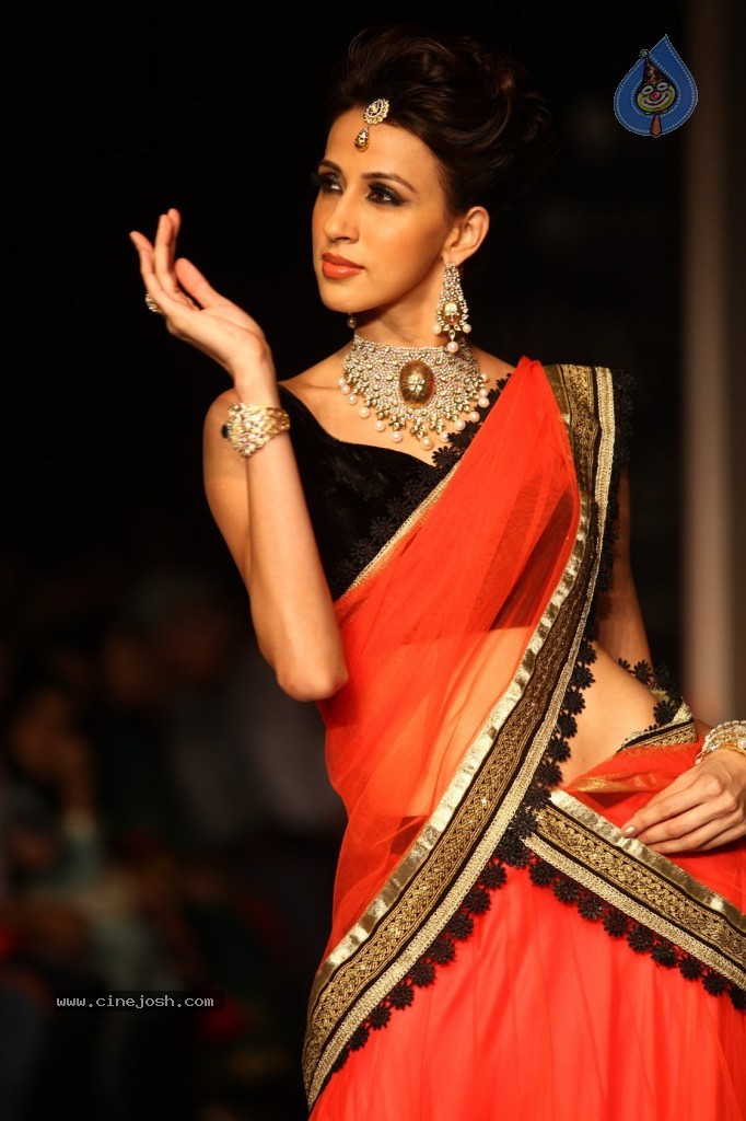 Celebs Walks the Ramp at IIJW 2013 Day 3 - 21 / 132 photos