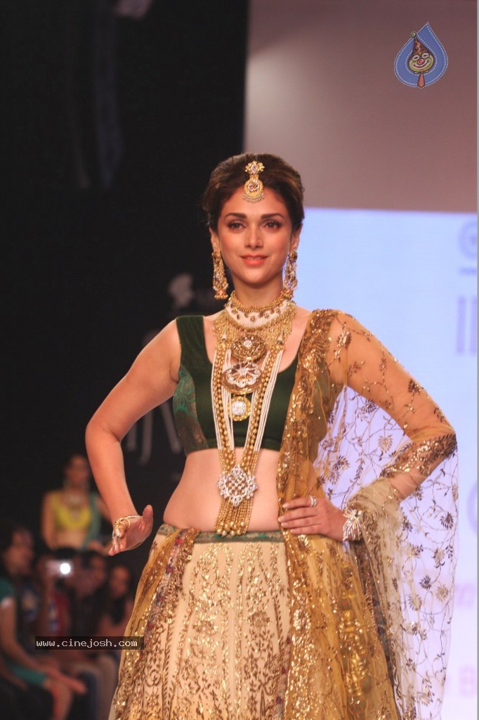 Celebs Walks the Ramp at IIJW 2013 Day 3 - 30 / 132 photos