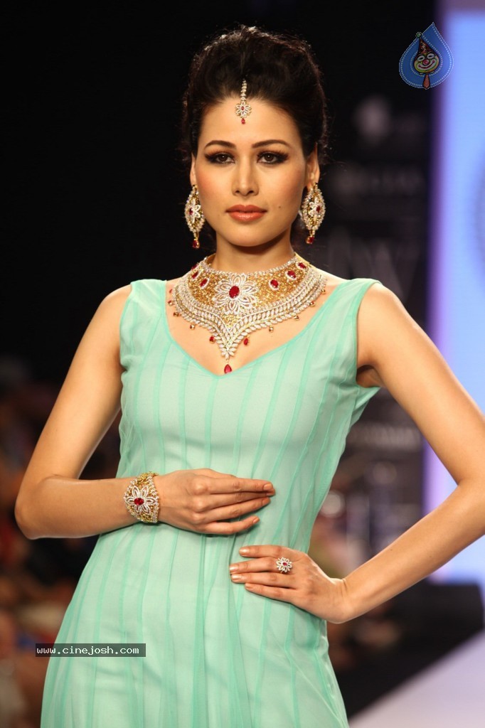 Celebs Walks the Ramp at IIJW 2013 Day 3 - 50 / 132 photos