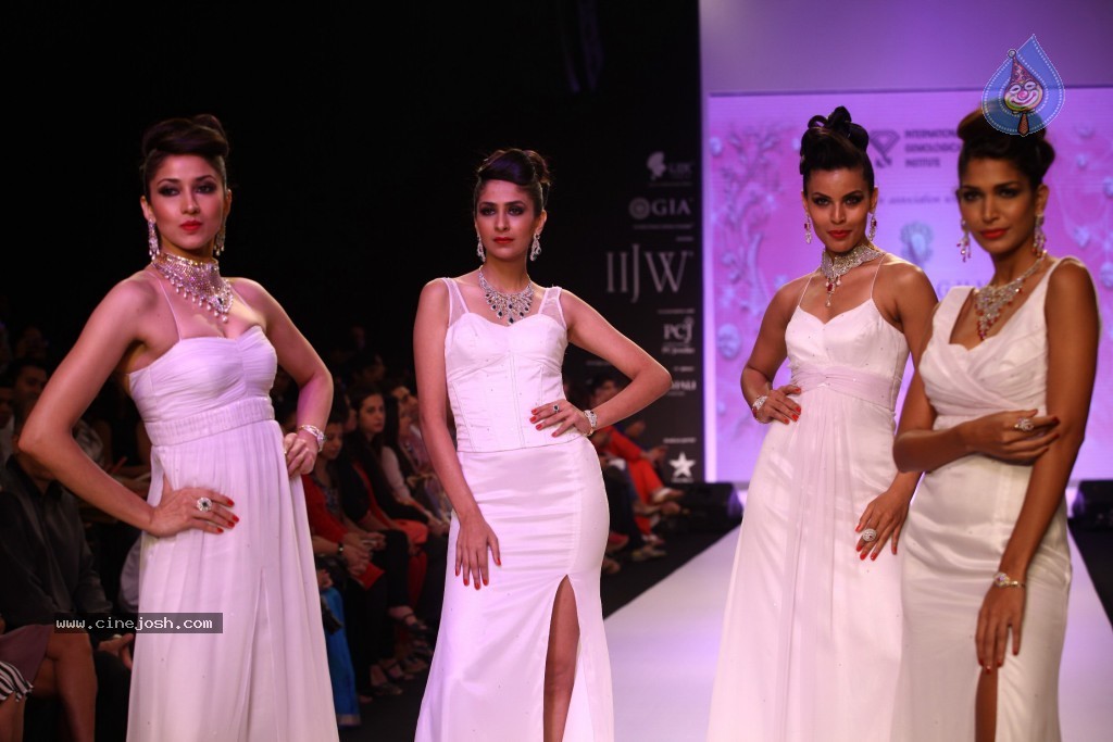 Celebs Walks the Ramp at IIJW 2013 Day 3 - 52 / 132 photos