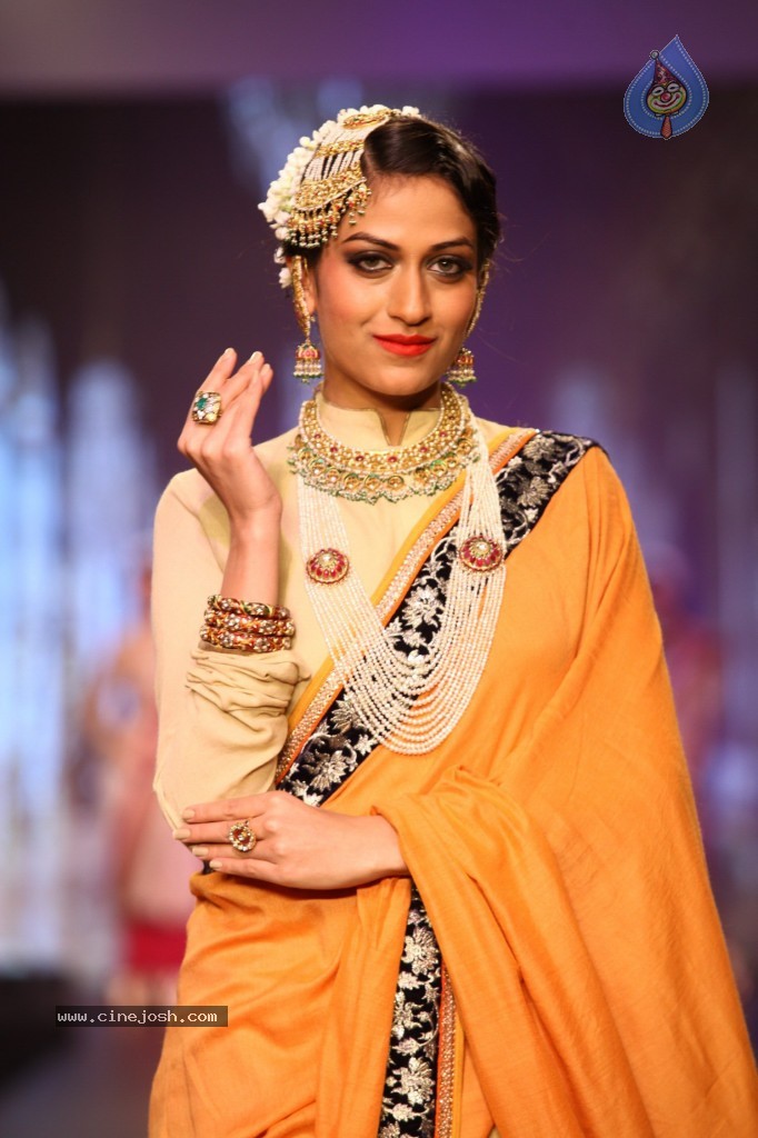 Celebs Walks the Ramp at IIJW 2013 Day 3 - 53 / 132 photos