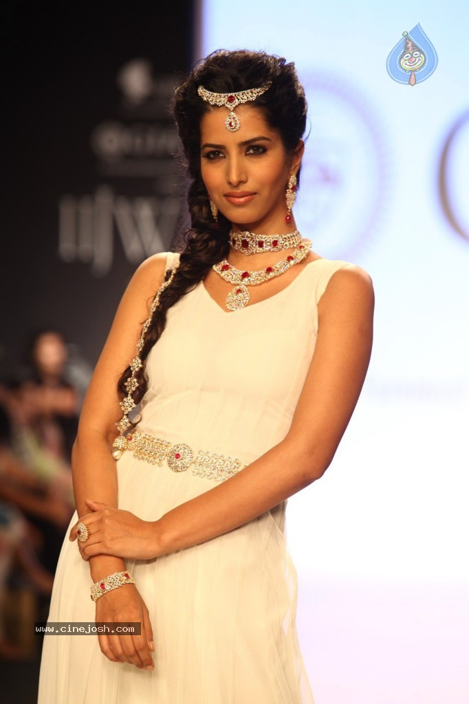 Celebs Walks the Ramp at IIJW 2013 Day 3 - 57 / 132 photos