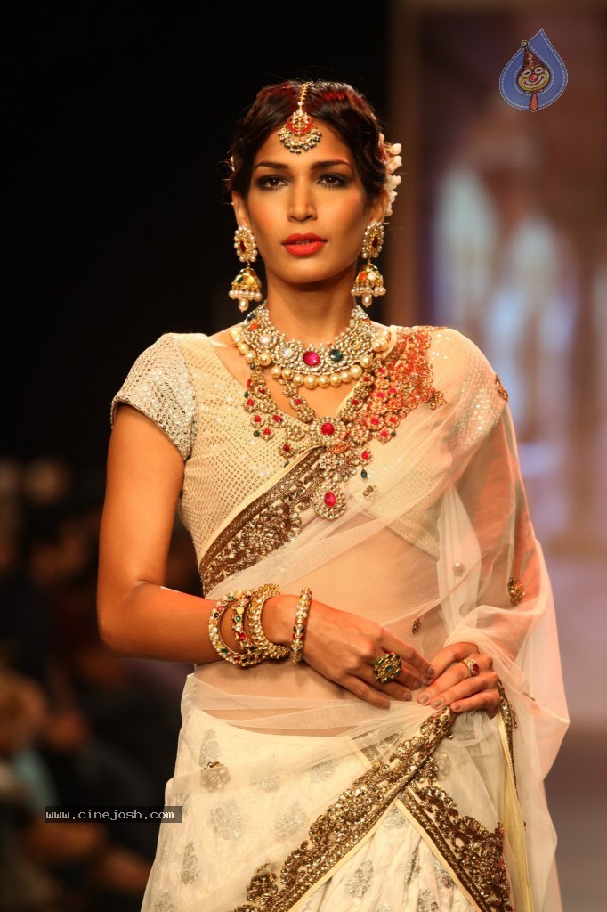 Celebs Walks the Ramp at IIJW 2013 Day 3 - 58 / 132 photos