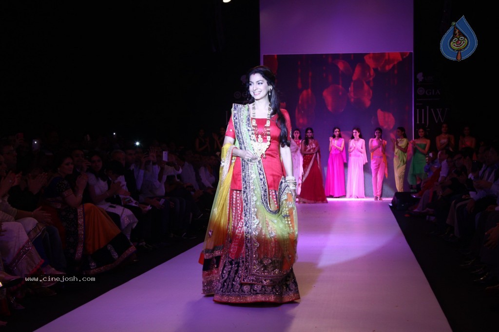 Celebs Walks the Ramp at IIJW 2013 Day 3 - 60 / 132 photos