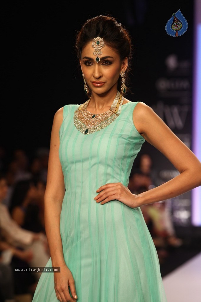 Celebs Walks the Ramp at IIJW 2013 Day 3 - 66 / 132 photos