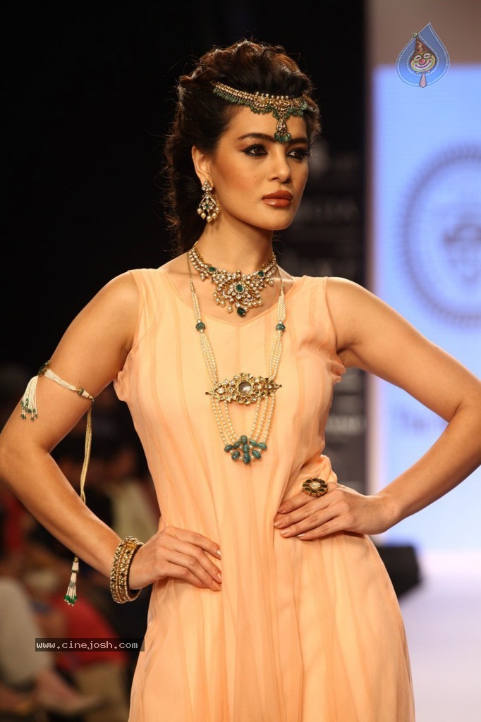 Celebs Walks the Ramp at IIJW 2013 Day 3 - 67 / 132 photos