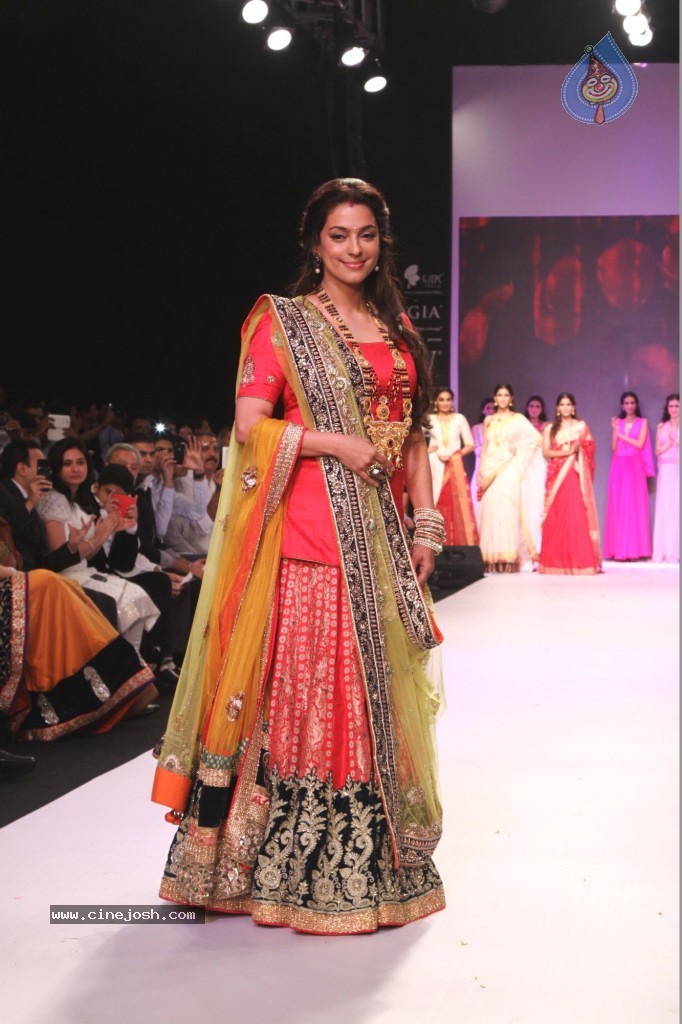 Celebs Walks the Ramp at IIJW 2013 Day 3 - 74 / 132 photos