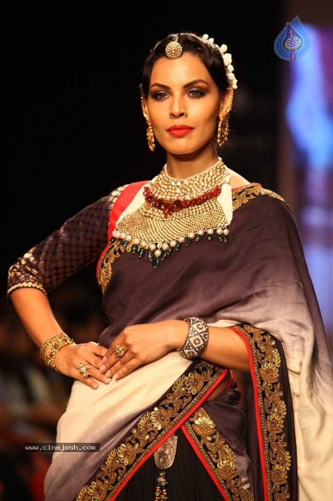 Celebs Walks the Ramp at IIJW 2013 Day 3 - 88 / 132 photos