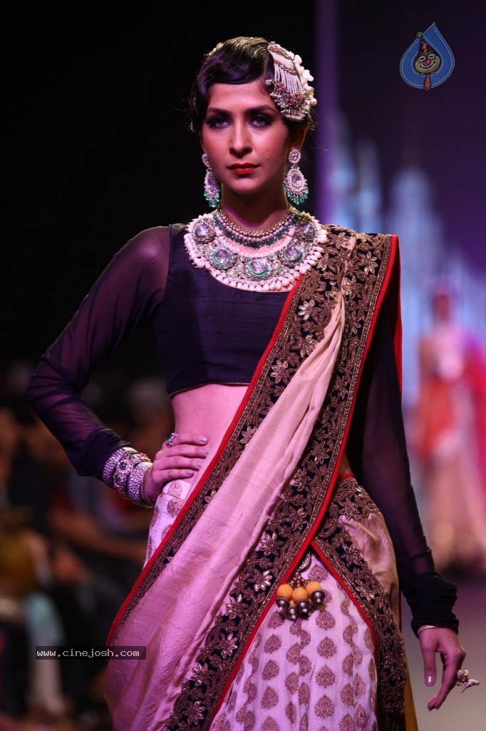 Celebs Walks the Ramp at IIJW 2013 Day 3 - 89 / 132 photos