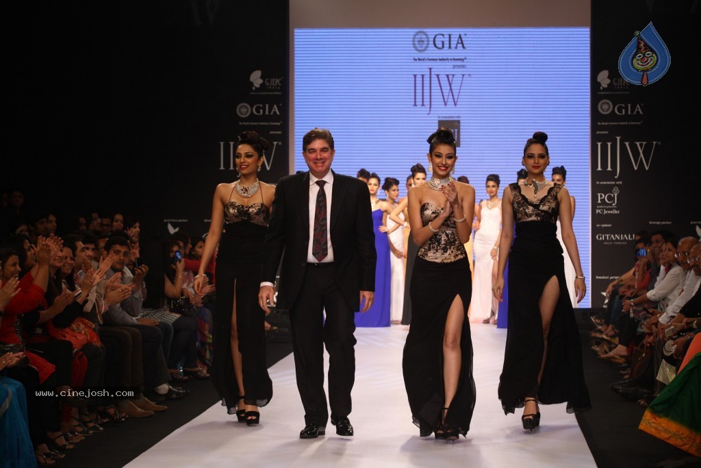 Celebs Walks the Ramp at IIJW 2013 Day 3 - 91 / 132 photos