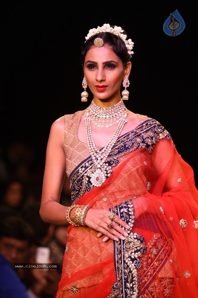 Celebs Walks the Ramp at IIJW 2013 Day 3 - 92 / 132 photos