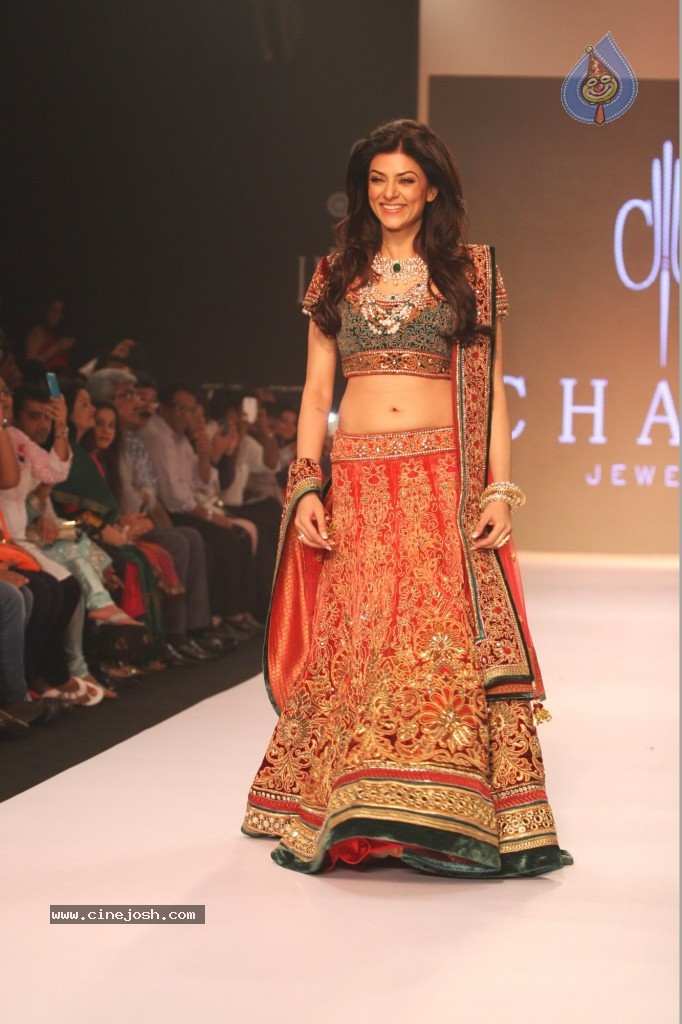 Celebs Walks the Ramp at IIJW 2013 Day 3 - 96 / 132 photos