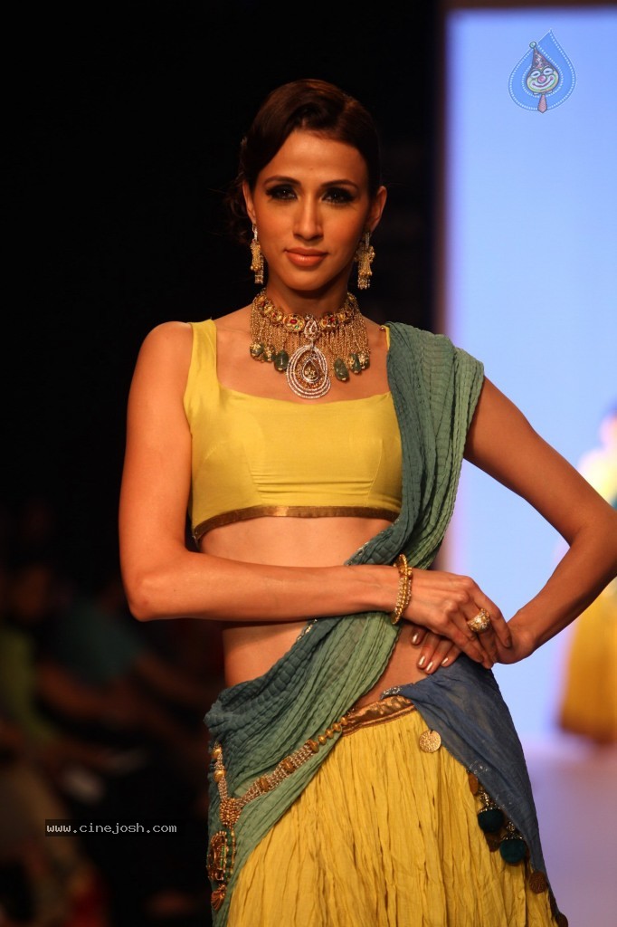 Celebs Walks the Ramp at IIJW 2013 Day 3 - 97 / 132 photos