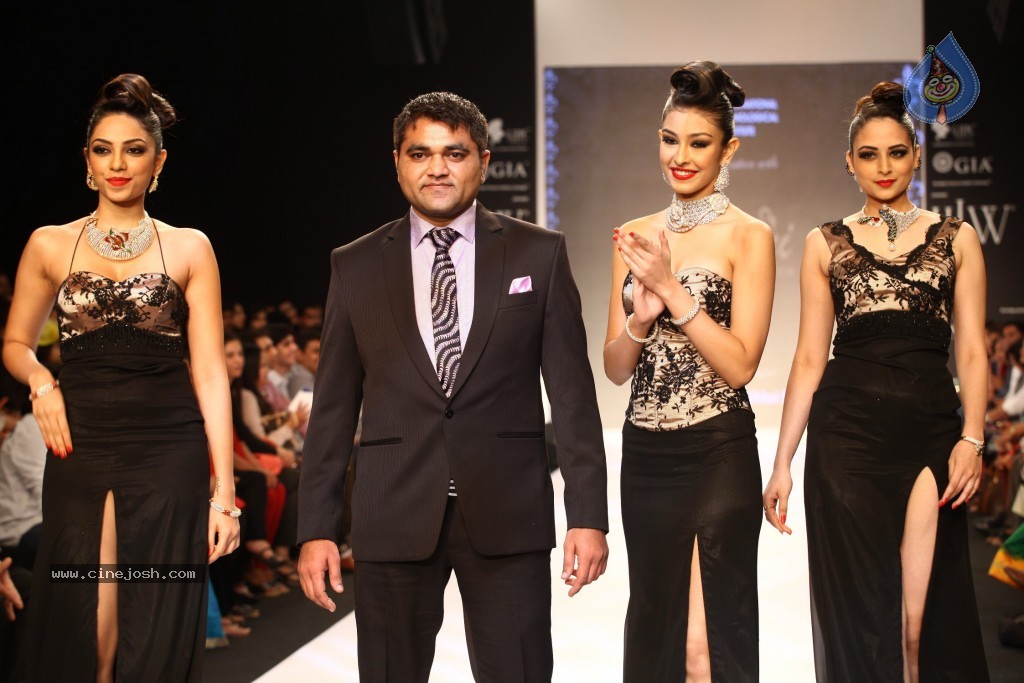 Celebs Walks the Ramp at IIJW 2013 Day 3 - 125 / 132 photos