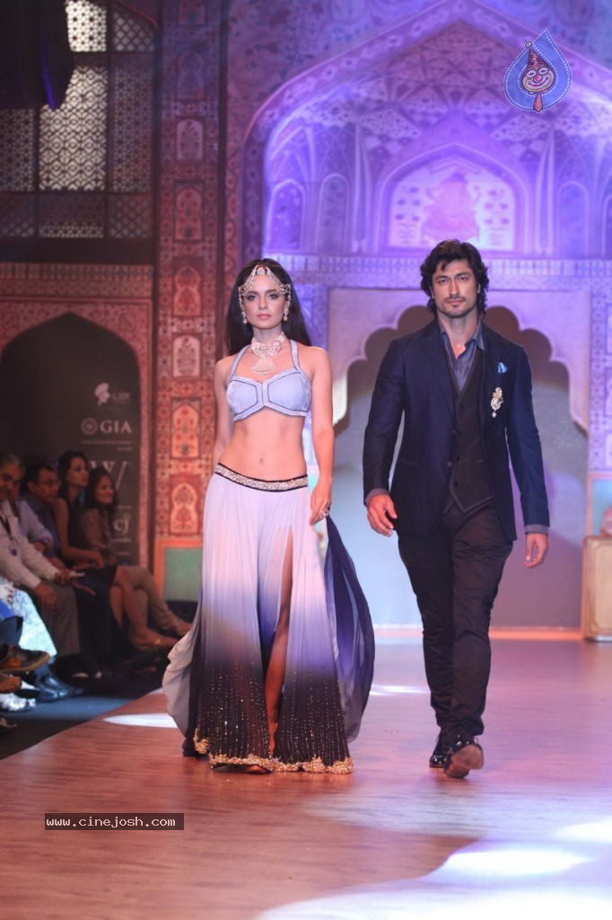 Celebs Walks the Ramp at IIJW 2013 Day 4 - 2 / 129 photos