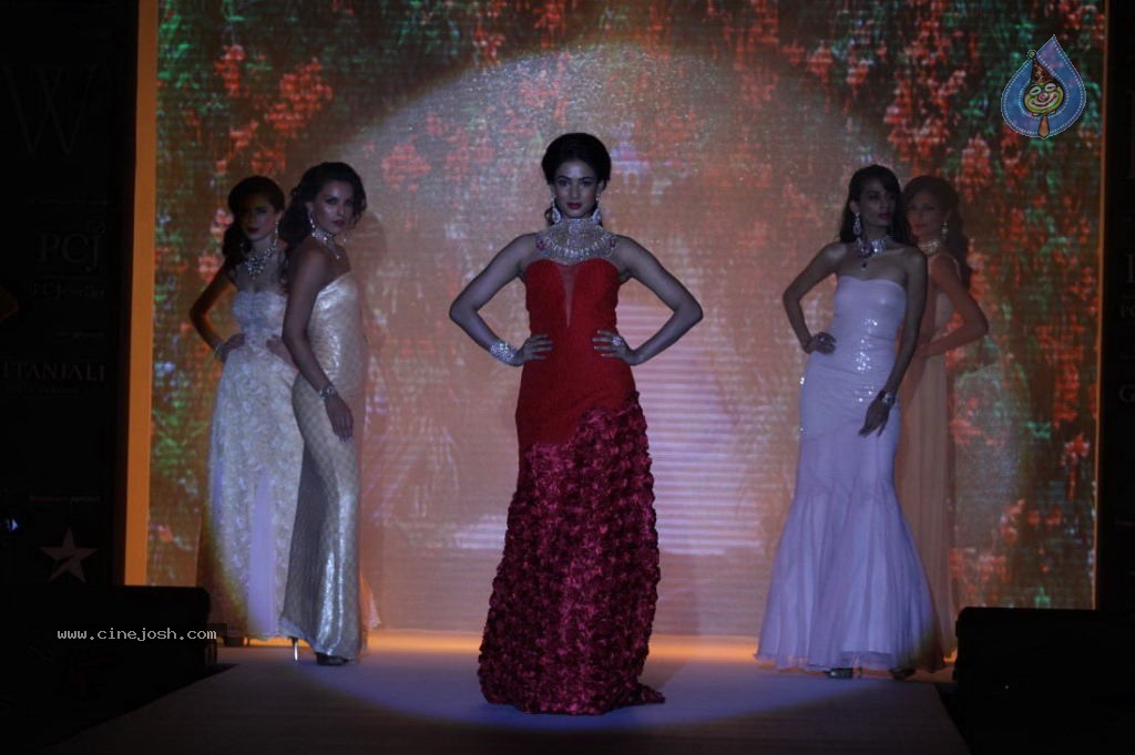 Celebs Walks the Ramp at IIJW 2013 Day 4 - 4 / 129 photos