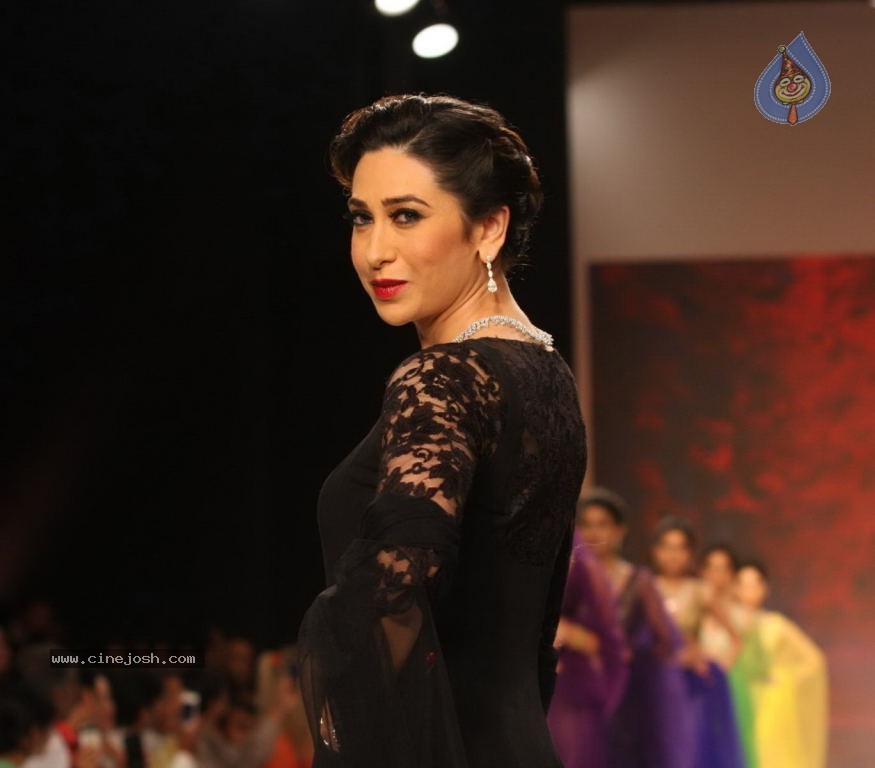 Celebs Walks the Ramp at IIJW 2013 Day 4 - 5 / 129 photos