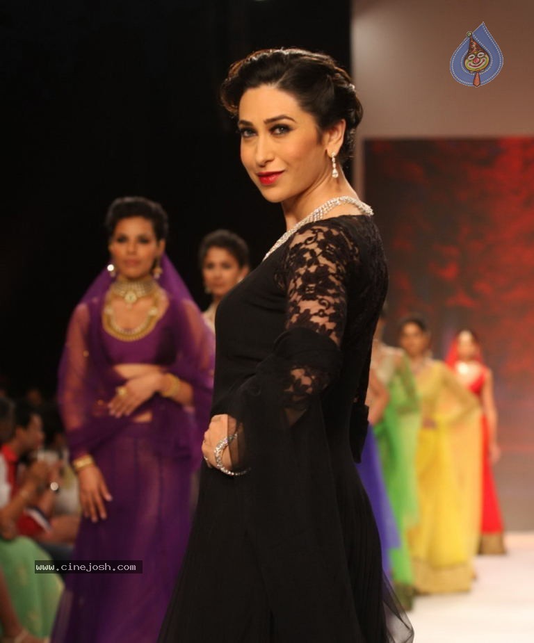 Celebs Walks the Ramp at IIJW 2013 Day 4 - 6 / 129 photos