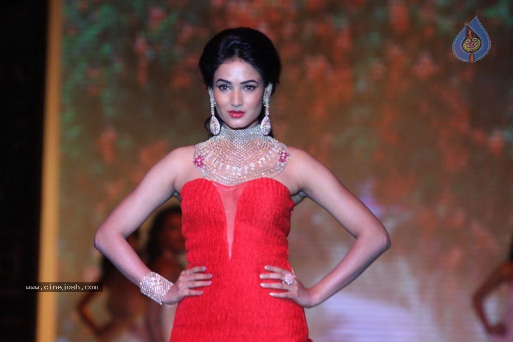 Celebs Walks the Ramp at IIJW 2013 Day 4 - 18 / 129 photos