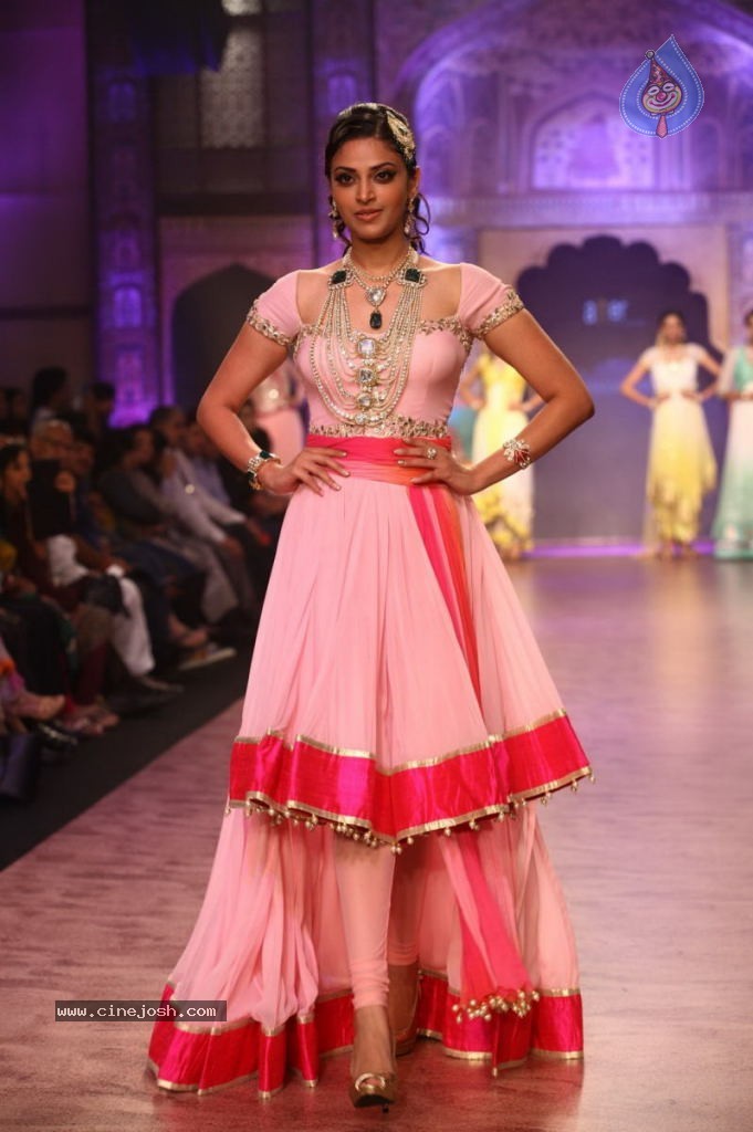 Celebs Walks the Ramp at IIJW 2013 Day 4 - 19 / 129 photos