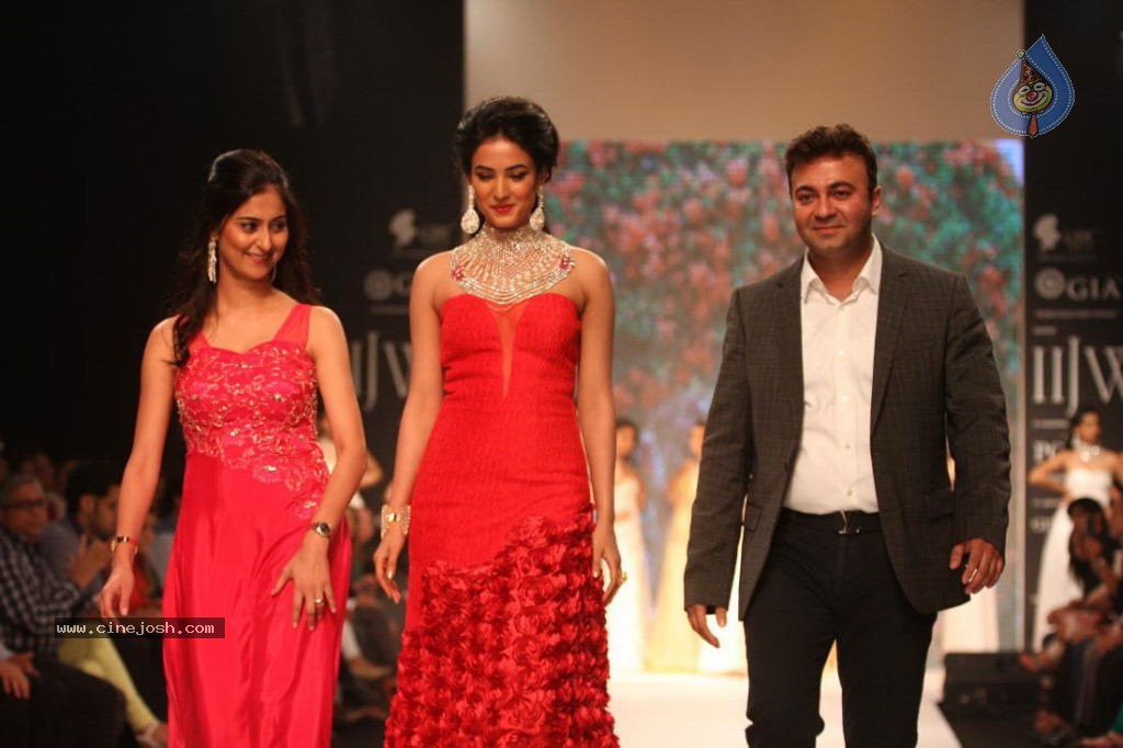 Celebs Walks the Ramp at IIJW 2013 Day 4 - 21 / 129 photos