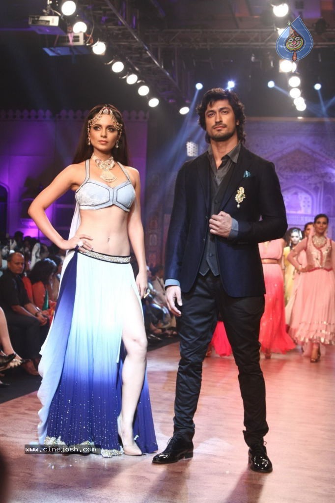 Celebs Walks the Ramp at IIJW 2013 Day 4 - 22 / 129 photos
