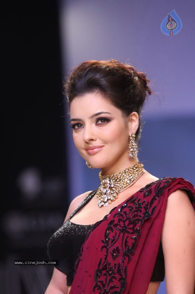 Celebs Walks the Ramp at IIJW 2013 Day 4 - 26 / 129 photos