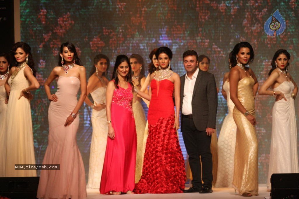 Celebs Walks the Ramp at IIJW 2013 Day 4 - 42 / 129 photos