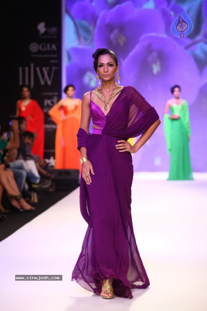 Celebs Walks the Ramp at IIJW 2013 Day 4 - 43 / 129 photos