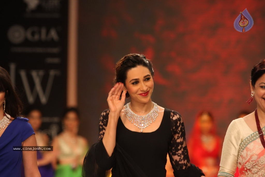 Celebs Walks the Ramp at IIJW 2013 Day 4 - 45 / 129 photos