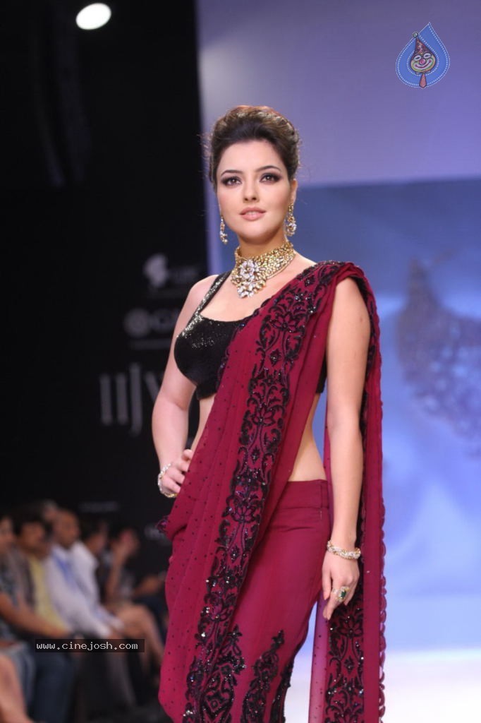 Celebs Walks the Ramp at IIJW 2013 Day 4 - 46 / 129 photos