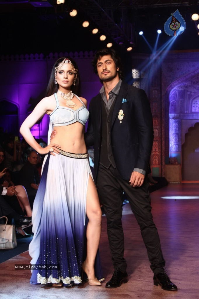 Celebs Walks the Ramp at IIJW 2013 Day 4 - 48 / 129 photos