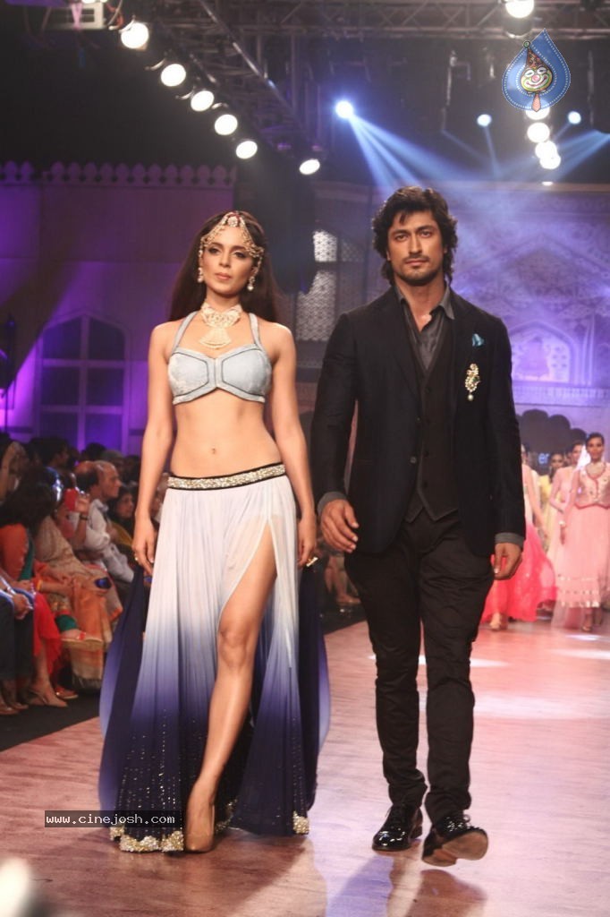 Celebs Walks the Ramp at IIJW 2013 Day 4 - 51 / 129 photos