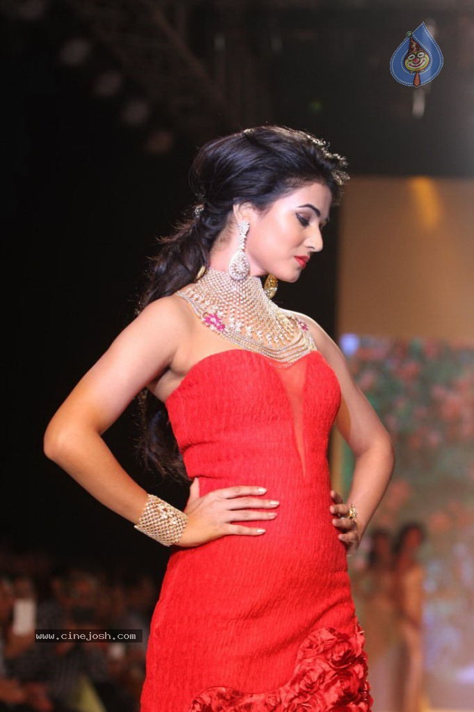 Celebs Walks the Ramp at IIJW 2013 Day 4 - 58 / 129 photos