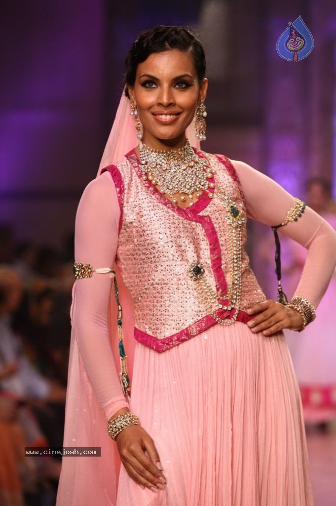 Celebs Walks the Ramp at IIJW 2013 Day 4 - 60 / 129 photos